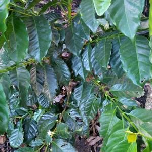 Meet your Posher, Edwin